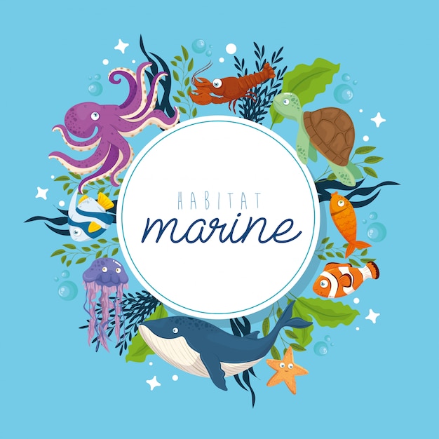 Habitat Marin, Animaux Dans L'océan, Habitants Du Monde Marin, Créatures Sous-marines Mignonnes, Faune Sous-marine