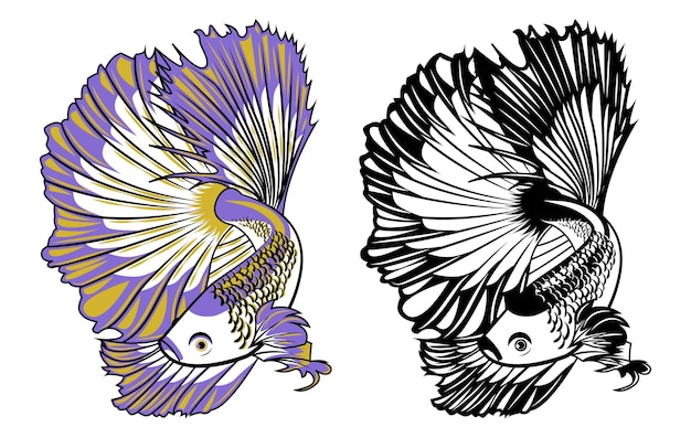 Vecteur halfmoon betta fish illustration vectorielle colorée