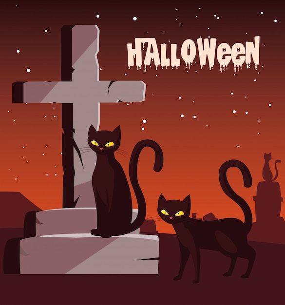 Halloween avec des chats au cimetière