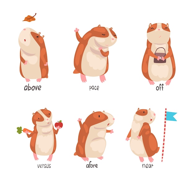 Hamster mignon démontrant les prépositions de la langue anglaise de l'ensemble de lieux Au-dessus du rythme versus les mots d'avance Matériel éducatif pour les enfants éducation illustration vectorielle de dessins animés