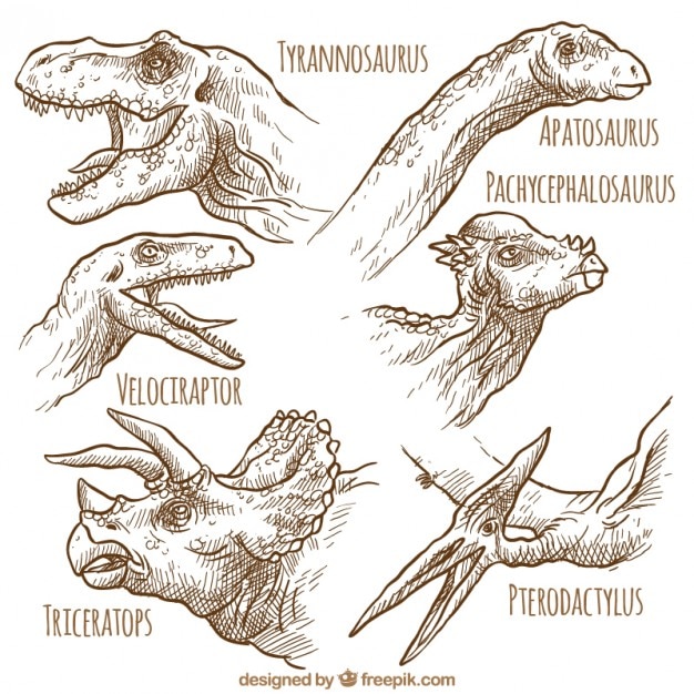 Hand Drawn Genre De Dinosaures