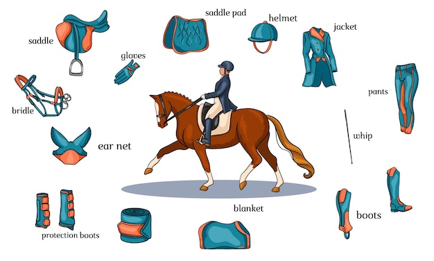 Harnais De Cheval D'infographie De Sport équestre Et équipement De Cavalier Au Centre D'un Cavalier Sur Un Cheval Dans Le Style De Bande Dessinée. Ensemble D'illustrations Vectorielles Pour La Formation Et La Décoration.