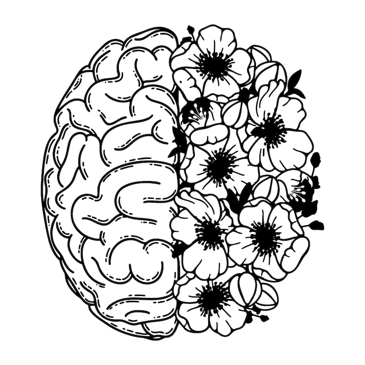 Vecteur hémisphères cérébraux cerveau humain réaliste avec des fleurs santé mentale du cerveau logique et émotion