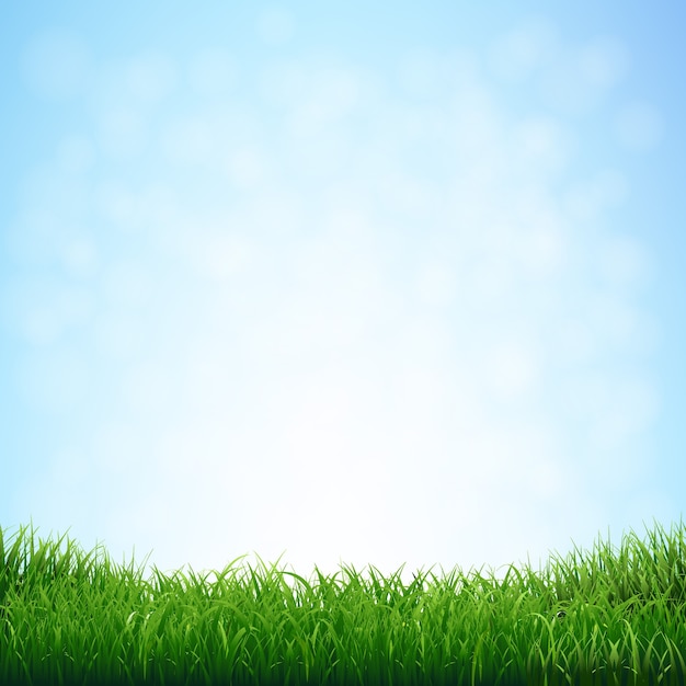 Herbe, à, ciel bleu, à, filet dégradé, illustration