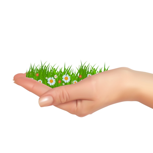 Vecteur herbe et fleurs à la main