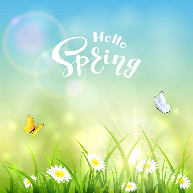 Herbe avec des fleurs et des papillons volants. Texte Bonjour printemps sur le fond d'un soleil brillant, illustration.