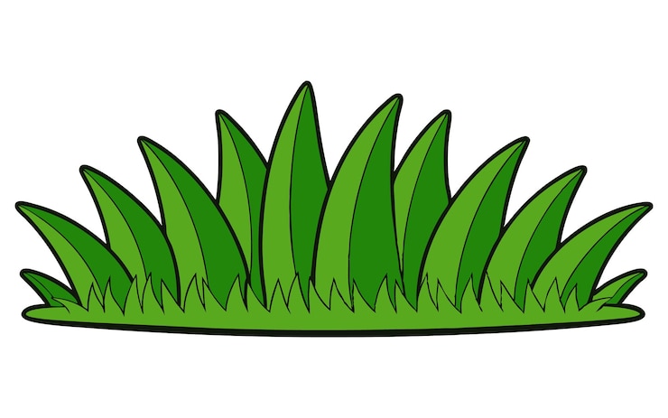 Vecteur de l'herbe sur fond blanc