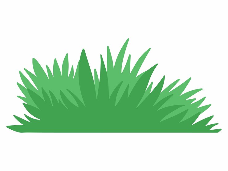 Vecteur herbe illustration paysage herbe verte