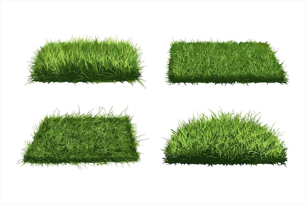 L'herbe pousse dans une rangée avec l'herbe qui pousse dehors