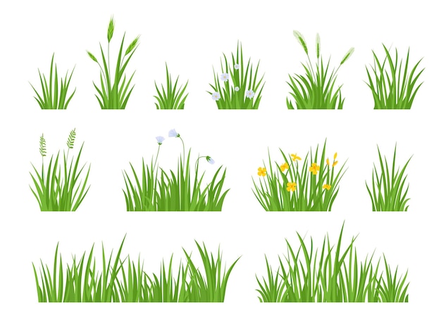 Herbe de prairie verte de dessin animé avec des fleurs, des herbes et des oreilles de pointe. Bordures horizontales de pelouse de jardin de printemps. Ensemble de vecteurs d'herbe naturelle fraîche sur le terrain