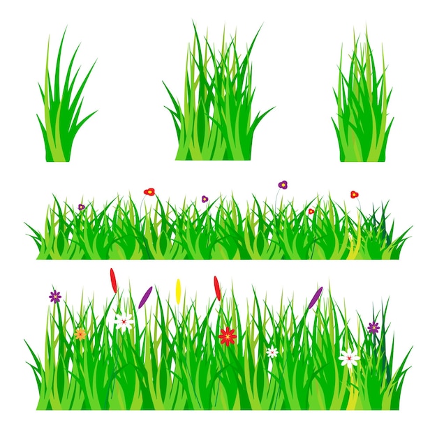 Herbe de vecteur sur fond blanc belle jeune herbe verte