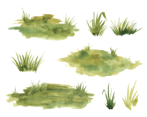 Herbe Verte Aquarelle Isolée Sur Fond Blanc Illustration Dessinée à La Main