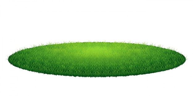 Herbe verte autour de l&#39;arène