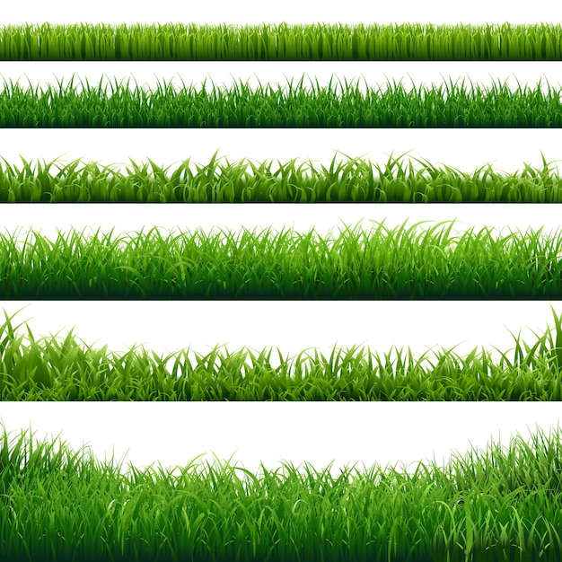 Herbe Verte Big Borders Collection Illustration De Fond Isolé