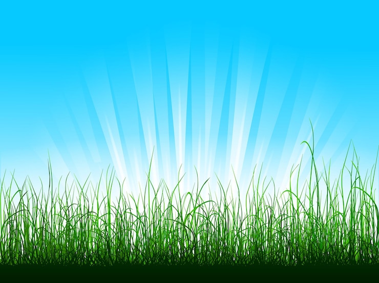 Vecteur herbe verte sur ciel bleu avec rayons de soleil