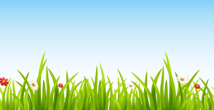 Vecteur une herbe verte avec une fleur rouge dessus