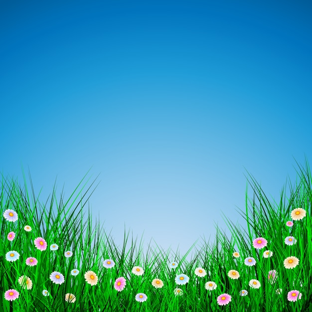 Herbe Verte Avec Des Fleurs Sur Fond Bleu, Illustration.