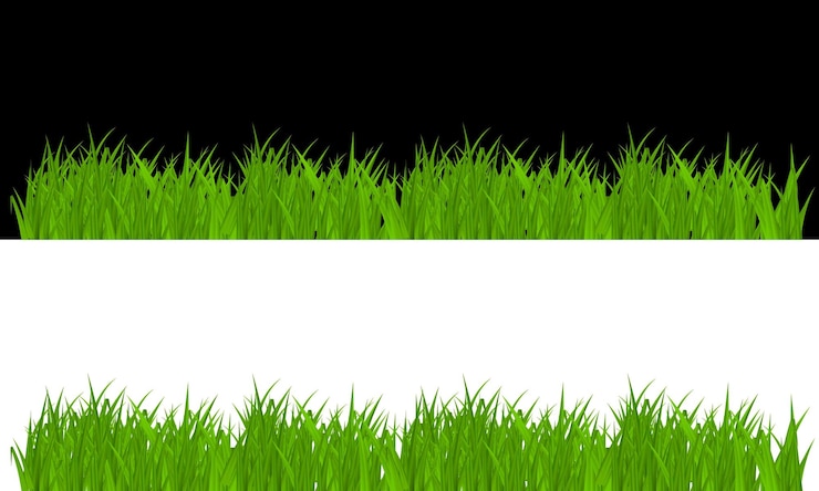 Vecteur de l'herbe verte sur fond blanc et d'une bannière blanche sur fond blanc