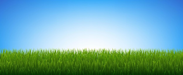 Herbe verte isolée ciel bleu avec illustration vectorielle de gradient mesh