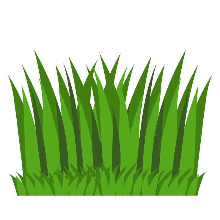 Vecteur l'herbe verte pour le paysage naturel du jardin éco écologie botanique fraîche