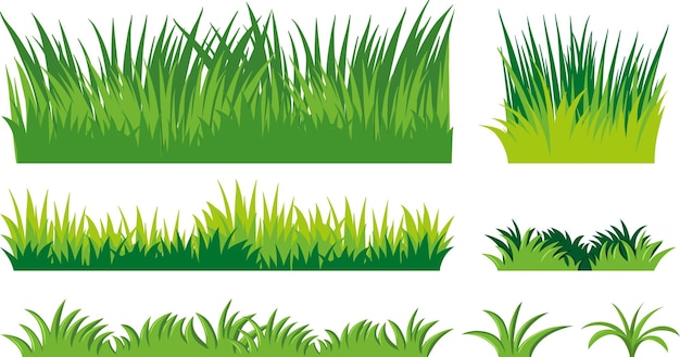 Herbe verte réaliste Des buissons de verdure fraîche Prairie de printemps pelouse d'été Glade avec des plantes