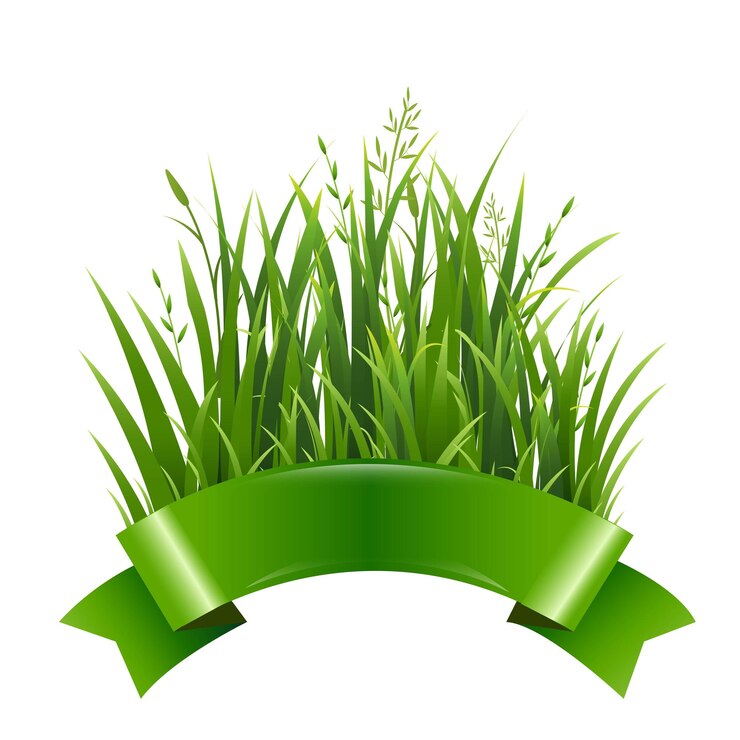 Vecteur herbe verte et ruban de soie