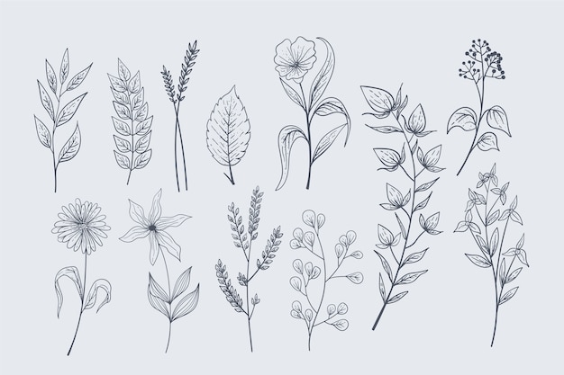 Vecteur herbes dessinées à la main réalistes et fleurs sauvages