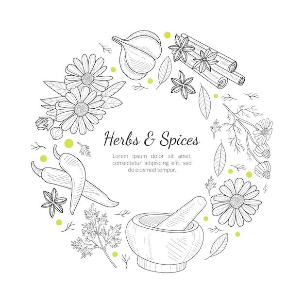 Herbes et épices modèle de bannière cadre rond avec des produits naturels biologiques sains et de l'espace pour