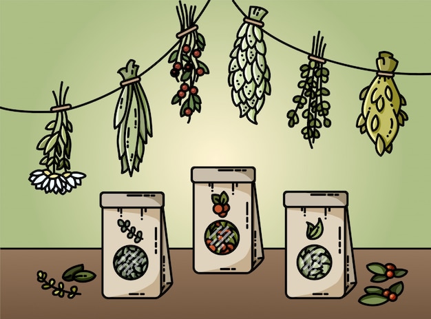 Herbes Saines Et Illustration Vectorielle De Thé Naturel Style Plat