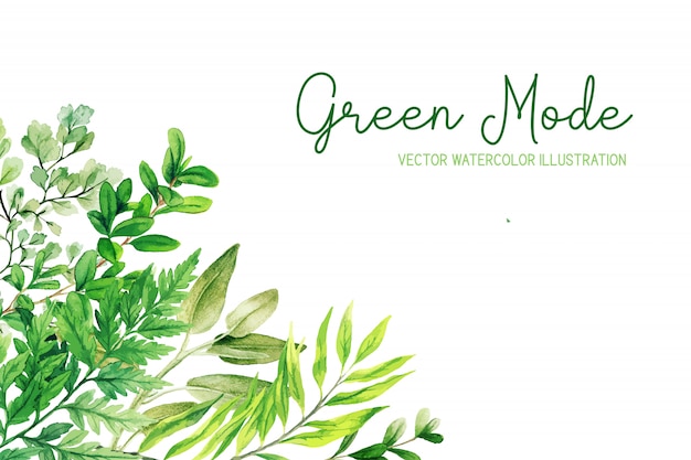 Herbes sauvages, feuilles et fougères, cadre d'angle vert