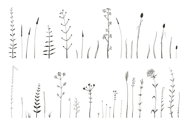 Herbes Sauvages Monochromes Dessinés à La Main, Herbes Et éléments Graphiques De Fleurs Sauvages Isolés.