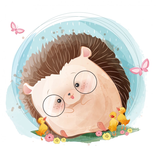 Hérisson bébé mignon