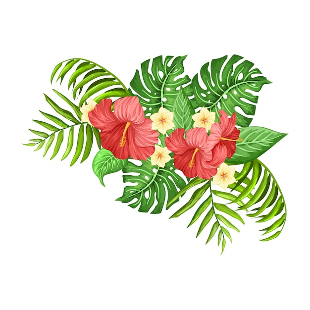 L'hibiscus tropical et le feuillage