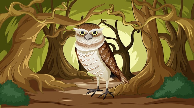 Le hibou dans une forêt mystique