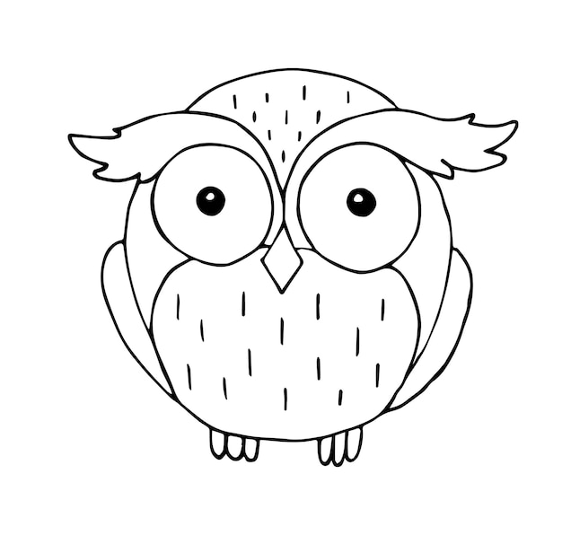 Hibou Dessiné à La Main De Vecteur