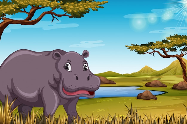 Hippopotame Dans La Savane