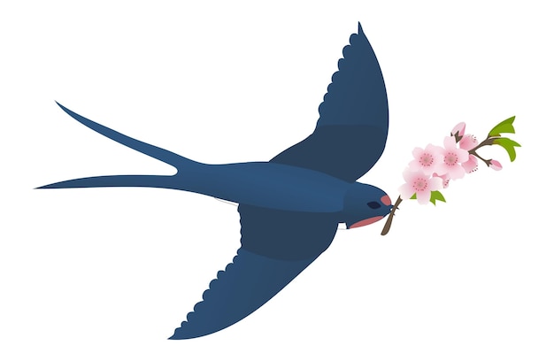 Hirondelle Volante Avec Une Branche De Sakura Vector Cartoon Illustration