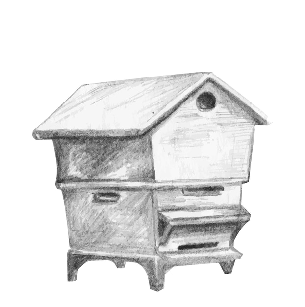 Hives En Bois Croquis Dessiné à La Main Apiculture Des Abeilles