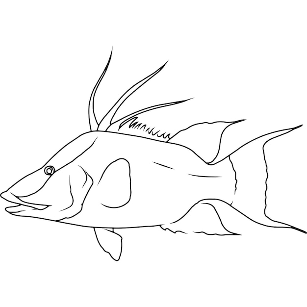 Vecteur hogfish main esquissée clipart vectoriel dessinés à la main