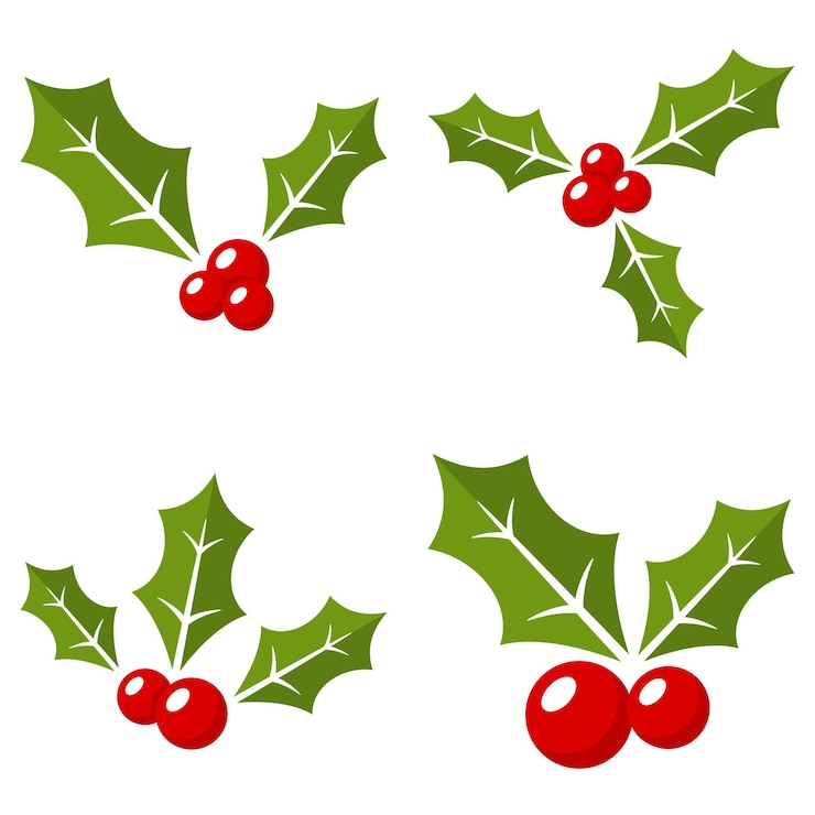 Vecteur holly berry isolé sur fond blanc