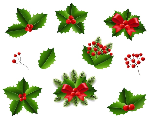 Holly Berry Set et le fond blanc isolé