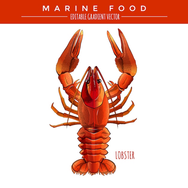 Homard Rouge. Marine Food