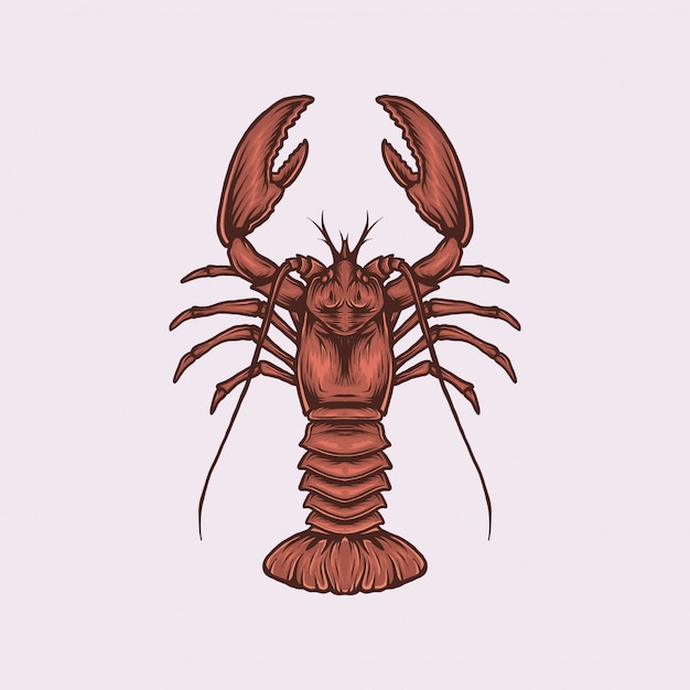 Homard Vintage Dessiné à La Main