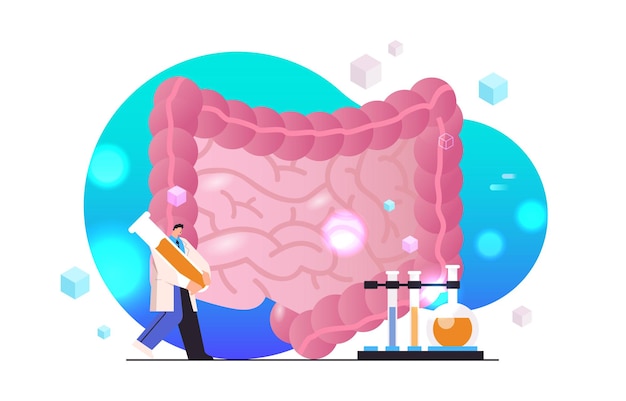 Homme Chercheur Faisant Des Expériences Avec Le Tractus Gastro-intestinal Anatomique Corps Humain Science Des Organes Internes Soins De Santé