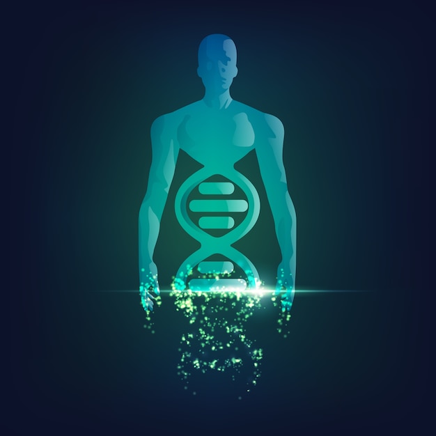 homme chromosome