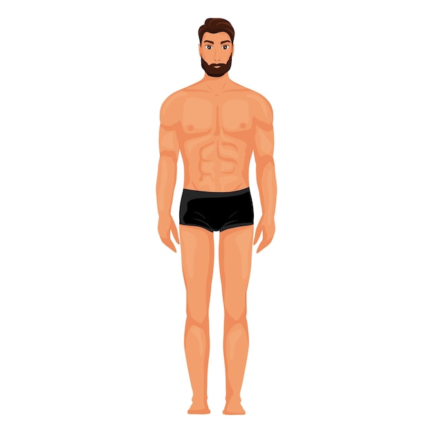 Homme corps nu pleine hauteur vue de face illustration vectorielle style dessin animé