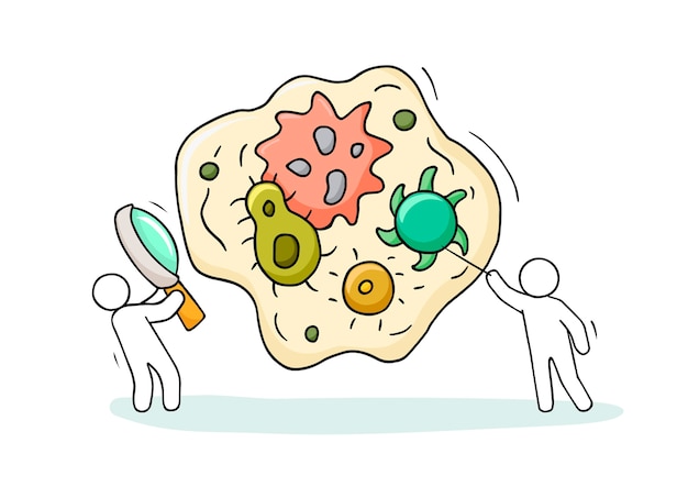 L'homme De Dessin Animé Tient La Loupe Et Voit De Nombreuses Bactéries (germes) Isolées Sur Fond Blanc. Dessin Animé Pour La Conception De La Médecine.