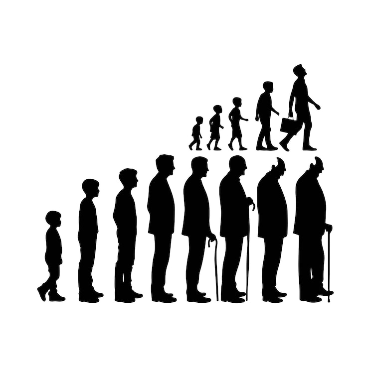 Vecteur l'homme à différents âges profil de la silhouette de la personne masculine et féminine etapes de croissance des personnes