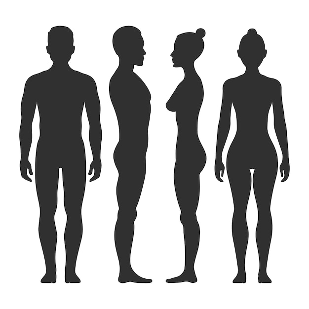 Homme Et Femme Vector Silhouettes En Vue De Face Et De Côté. Illustration Du Corps Illust Masculin Et Féminin