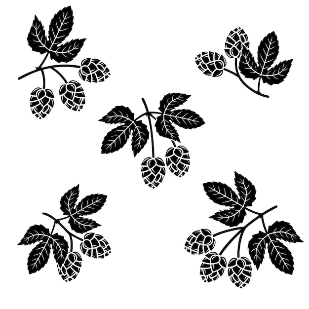 Hop set Collection icône houblon Vector